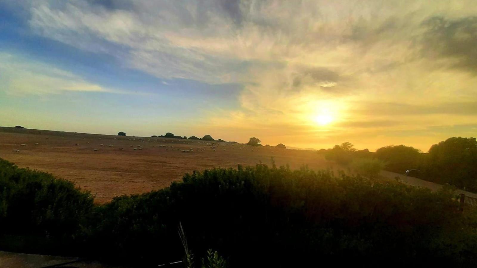 Resonance Experience - Tranquil Room Close To Beaches And Sacred Sites Sant Isidoro  Exteriör bild