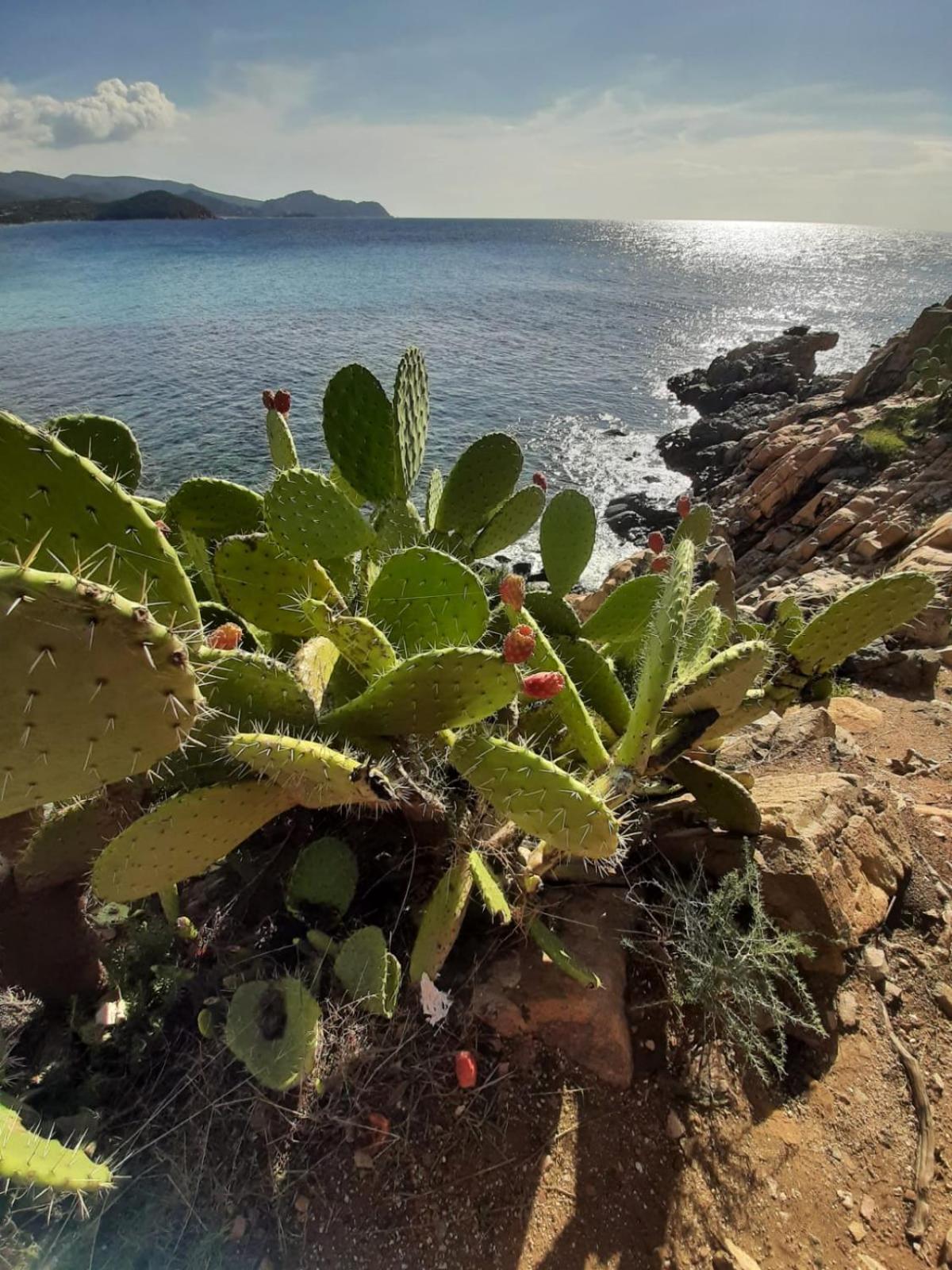 Resonance Experience - Tranquil Room Close To Beaches And Sacred Sites Sant Isidoro  Exteriör bild