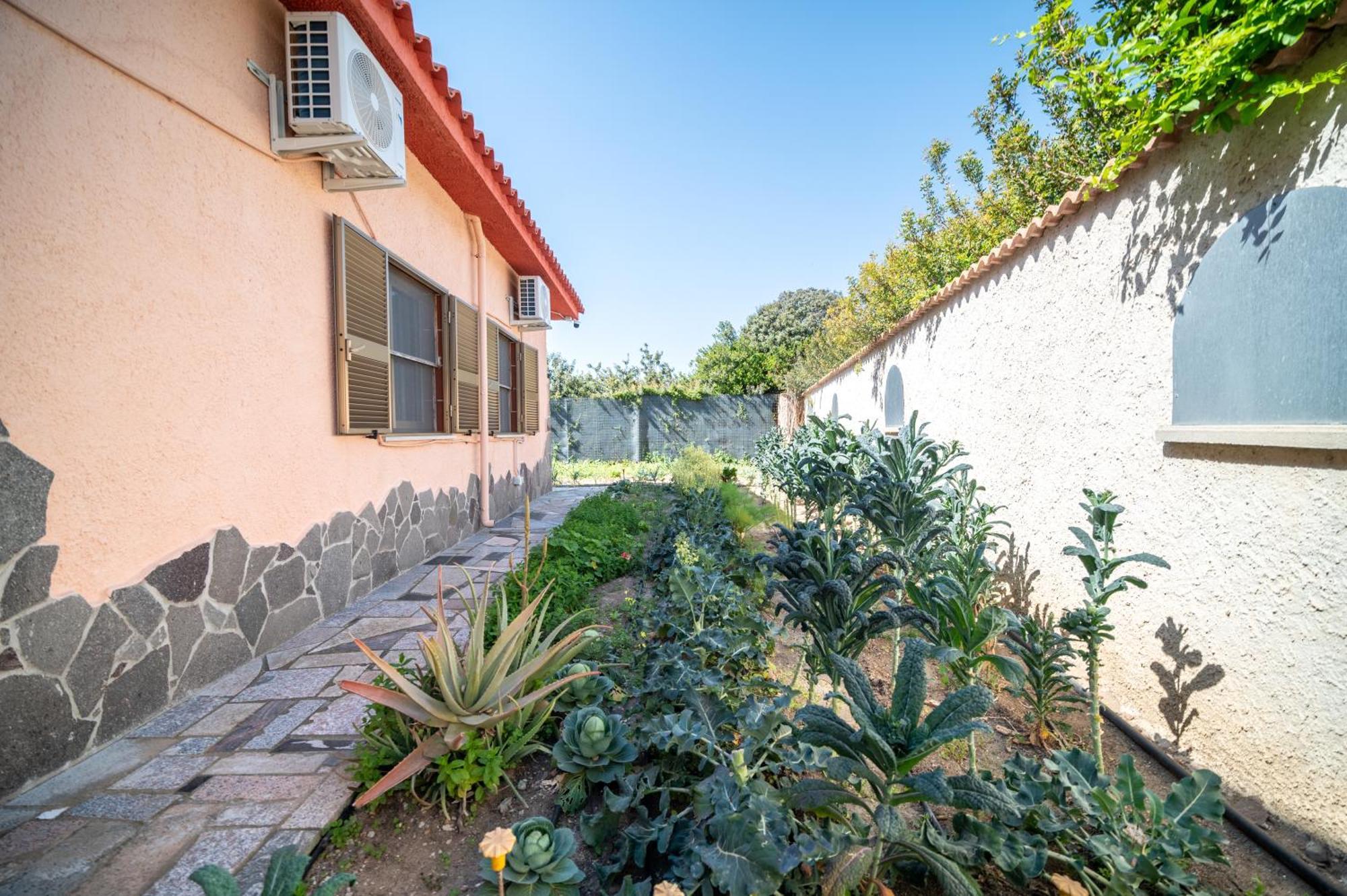 Resonance Experience - Tranquil Room Close To Beaches And Sacred Sites Sant Isidoro  Exteriör bild